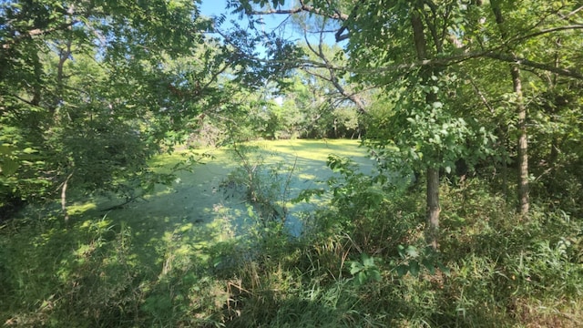 C-000 Tbd, Grovespring, MO 65662 - photo 11