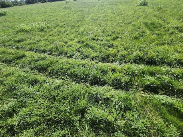 C-000 Tbd, Grovespring, MO 65662 - photo 3