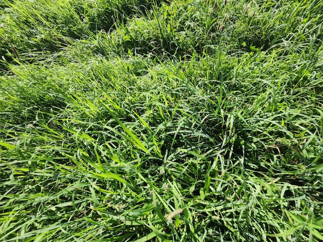 C-000 Tbd, Grovespring, MO 65662 - photo 5