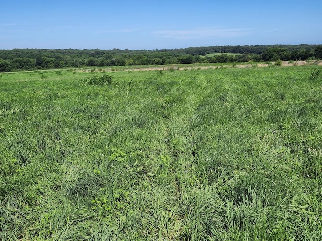 C-000 Tbd, Grovespring, MO 65662 - photo 9