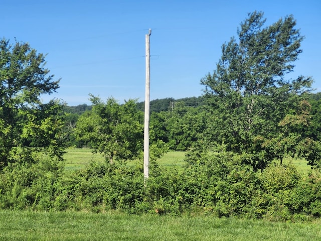 C-000 Tbd, Grovespring, MO 65662 - photo 6