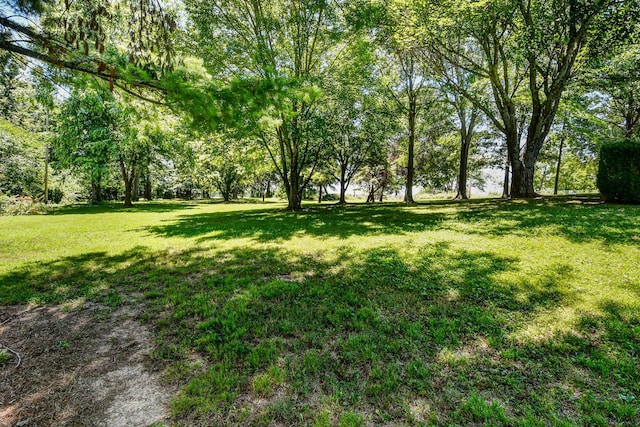 2400 S 6th Ave, Ozark, MO 65721 - photo 44