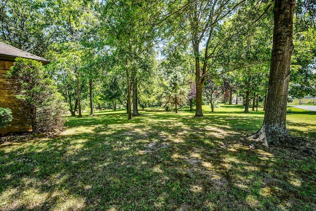 2400 S 6th Ave, Ozark, MO 65721 - photo 46