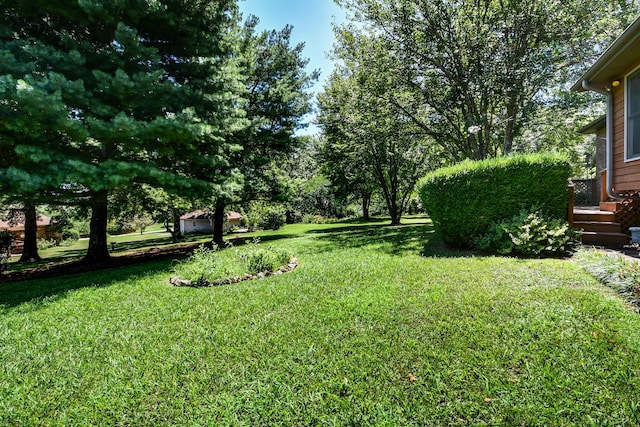 2400 S 6th Ave, Ozark, MO 65721 - photo 40
