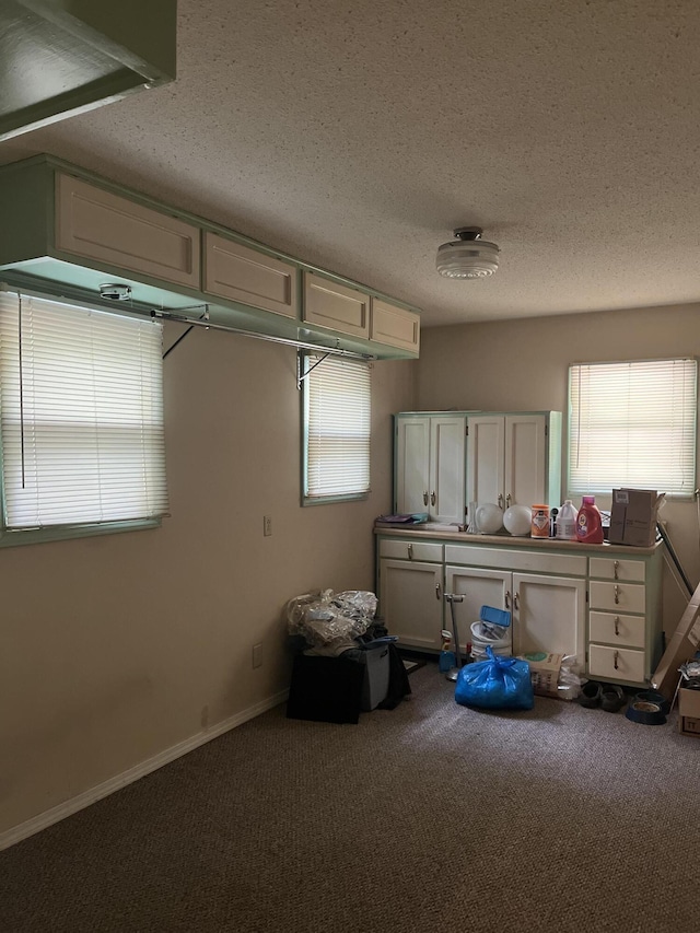 839 Kerr Rd, Clever, MO 65631 - photo 21