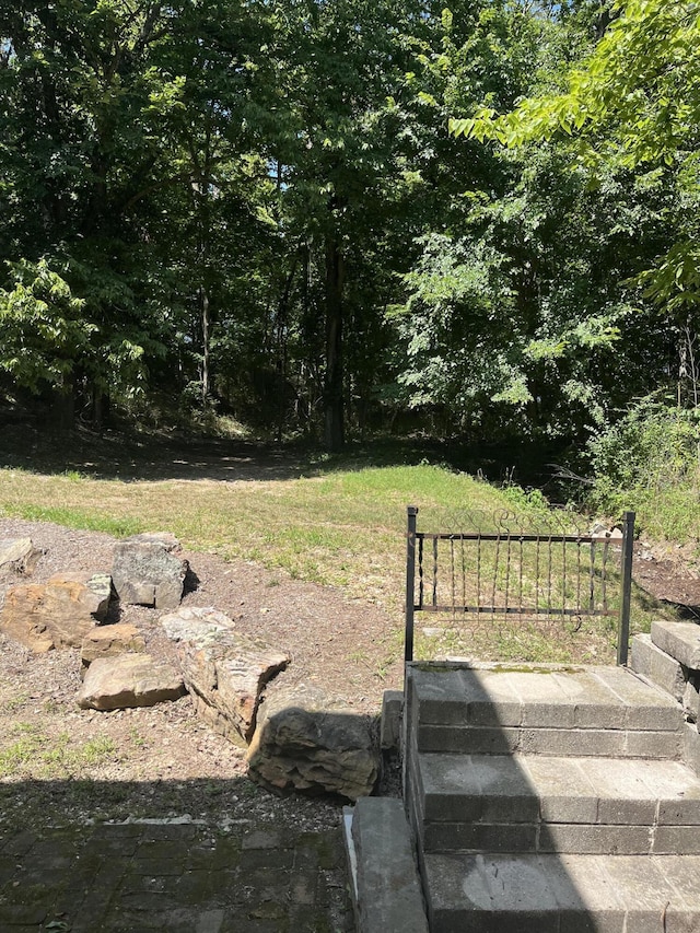 839 Kerr Rd, Clever, MO 65631 - photo 5