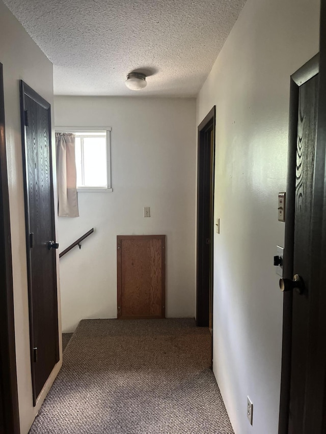 839 Kerr Rd, Clever, MO 65631 - photo 26