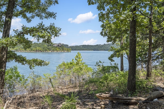 42 Ash Ln, Kimberling City, MO 65686 - photo 25