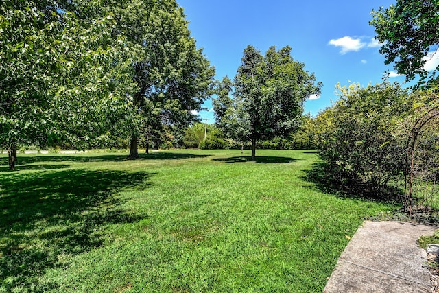 290 Timber Pl, Nixa, MO 65714 - photo 62