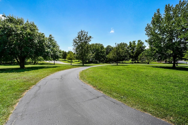 290 Timber Pl, Nixa, MO 65714 - photo 61