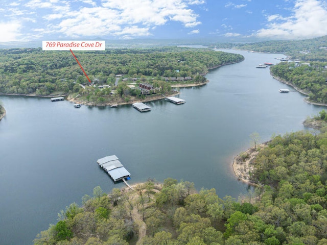 769 Paradise Cove Dr, Lampe, MO 65681 - photo 1