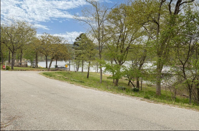 769 Paradise Cove Dr, Lampe, MO 65681 - photo 27