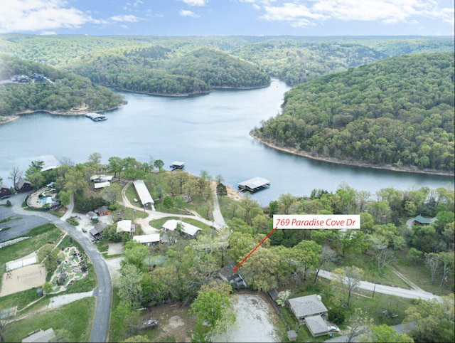 769 Paradise Cove Dr, Lampe, MO 65681 - photo 28