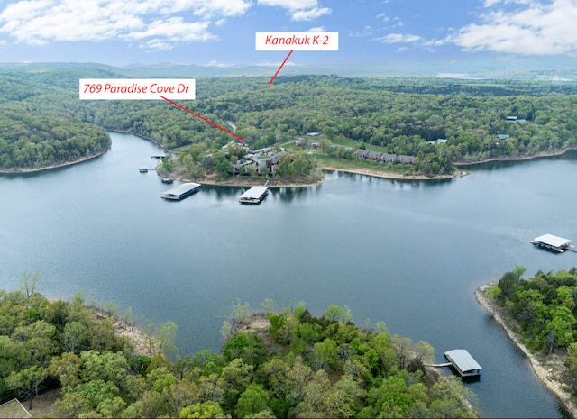 769 Paradise Cove Dr, Lampe, MO 65681 - photo 29