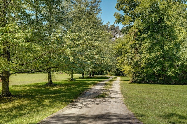 14198 Lawrence Unit 2090, Mount Vernon, MO 65712 - photo 35