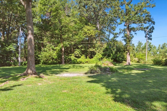 3015 W Bridlewood Trl, Ozark, MO 65721 - photo 43