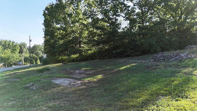 000 E Lakeview Ln, Eagle Rock, MO 65641 - photo 6