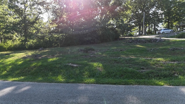 000 E Lakeview Ln, Eagle Rock, MO 65641 - photo 14