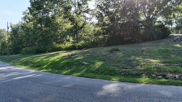 000 E Lakeview Ln, Eagle Rock, MO 65641 - photo 8
