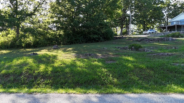 000 E Lakeview Ln, Eagle Rock, MO 65641 - photo 19