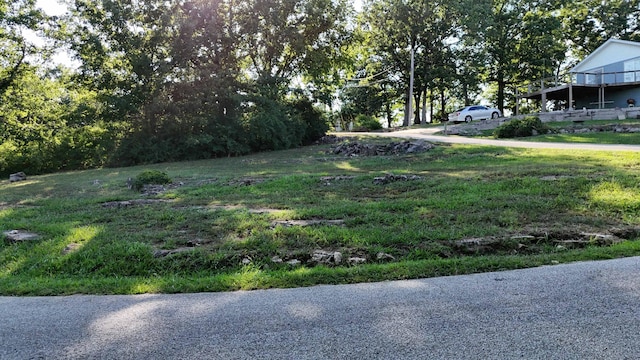 000 E Lakeview Ln, Eagle Rock, MO 65641 - photo 9