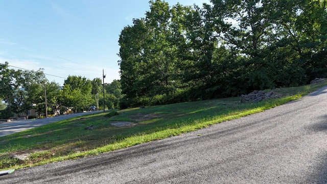000 E Lakeview Ln, Eagle Rock, MO 65641 - photo 16