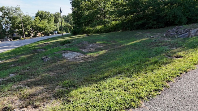 000 E Lakeview Ln, Eagle Rock, MO 65641 - photo 4