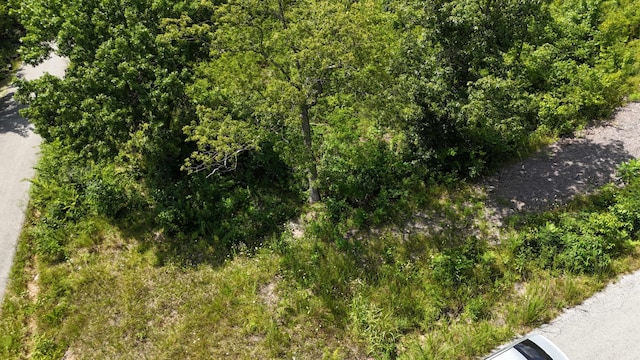 000 Walnut Dr, Eagle Rock, MO 65641 - photo 1
