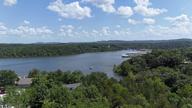 000 Walnut Dr, Eagle Rock, MO 65641 - photo 12