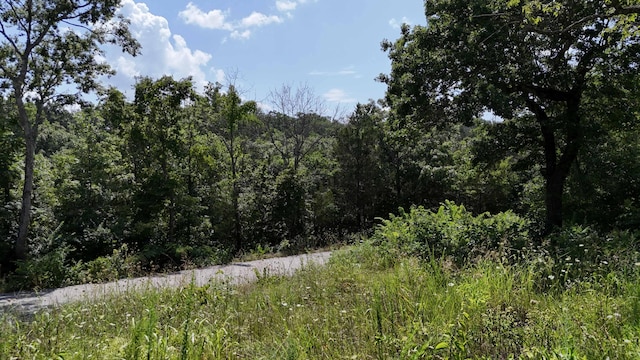 000 Walnut Dr, Eagle Rock, MO 65641 - photo 8