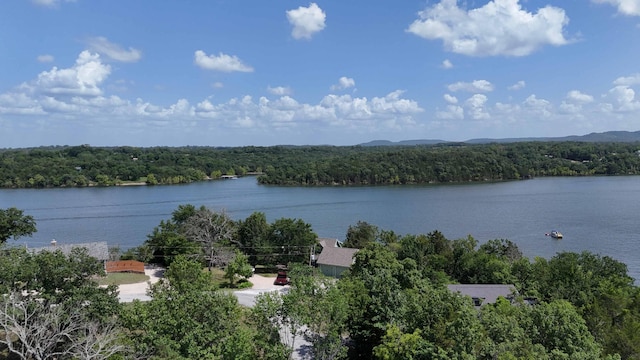 000 Walnut Dr, Eagle Rock, MO 65641 - photo 11