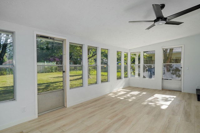 1156 E Greenwood St, Springfield, MO 65807 - photo 21