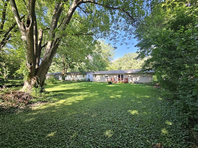 1053 S Bruce Ave, Springfield, MO 65804 - photo 8