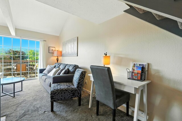 14 Scenic Ct Unit 9, Branson, MO 65616 - photo 4