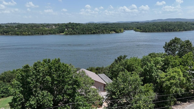 19764 Dogwood Dr, Eagle Rock, MO 65641 - photo 3
