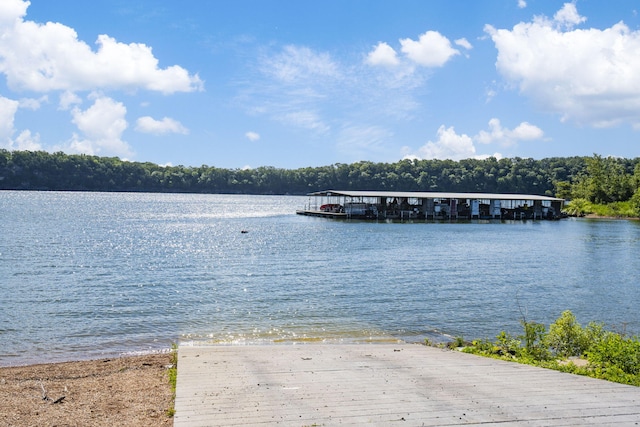 122 Nickel Ln, Galena, MO 65656 - photo 65