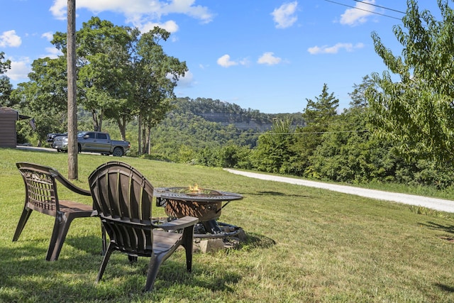 122 Nickel Ln, Galena, MO 65656 - photo 52