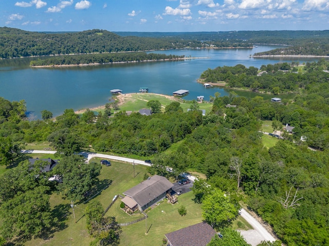 122 Nickel Ln, Galena, MO 65656 - photo 58