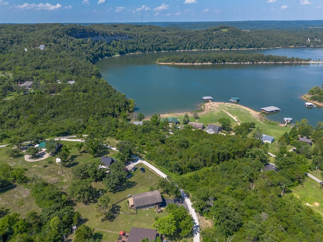 122 Nickel Ln, Galena, MO 65656 - photo 57