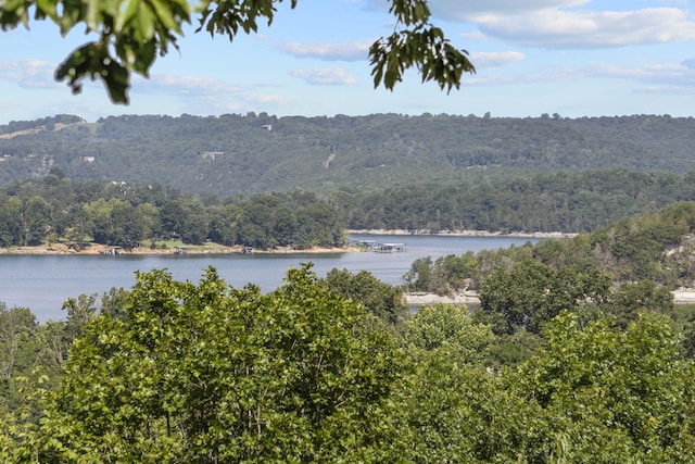 122 Nickel Ln, Galena, MO 65656 - photo 51