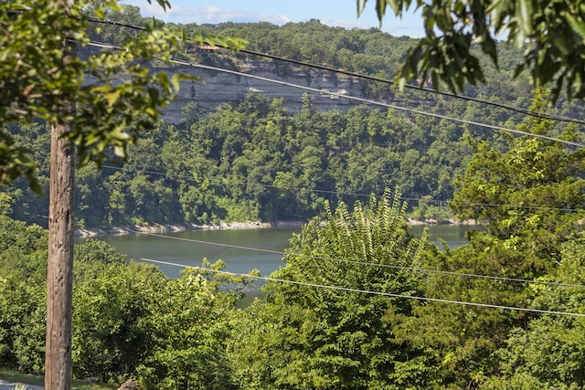 122 Nickel Ln, Galena, MO 65656 - photo 50