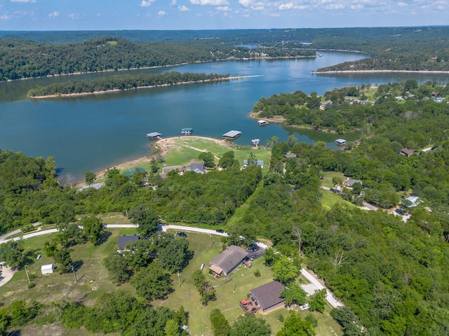 122 Nickel Ln, Galena, MO 65656 - photo 56