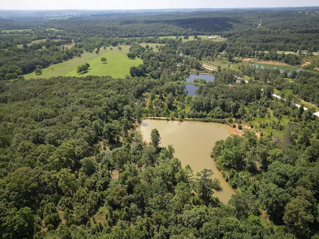 3686 Bado Rd, Cabool, MO 65689 - photo 12