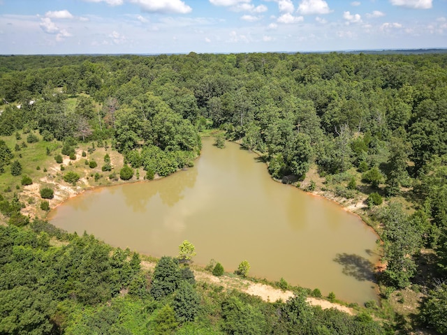 3686 Bado Rd, Cabool, MO 65689 - photo 11