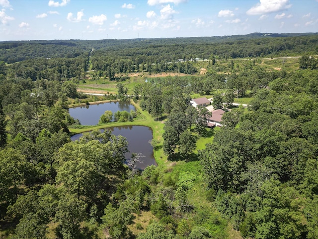 3686 Bado Rd, Cabool, MO 65689 - photo 10