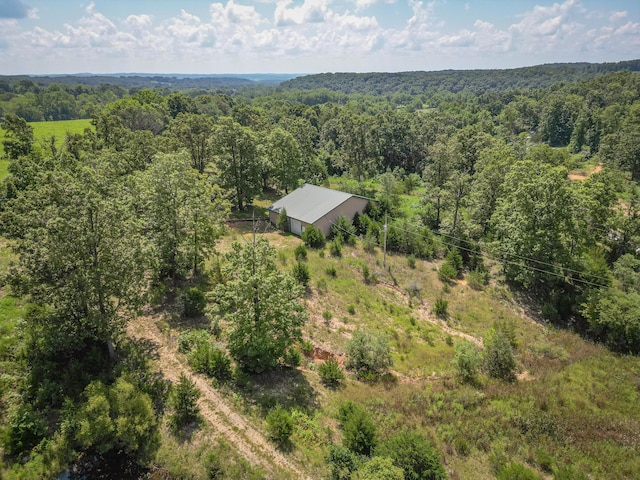3686 Bado Rd, Cabool, MO 65689 - photo 5