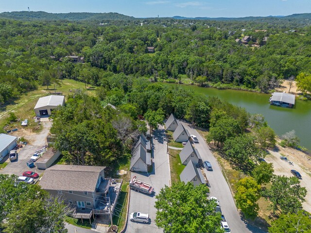 392 Eagle Dr Unit 10, Reeds Spring, MO 65737 - photo 46