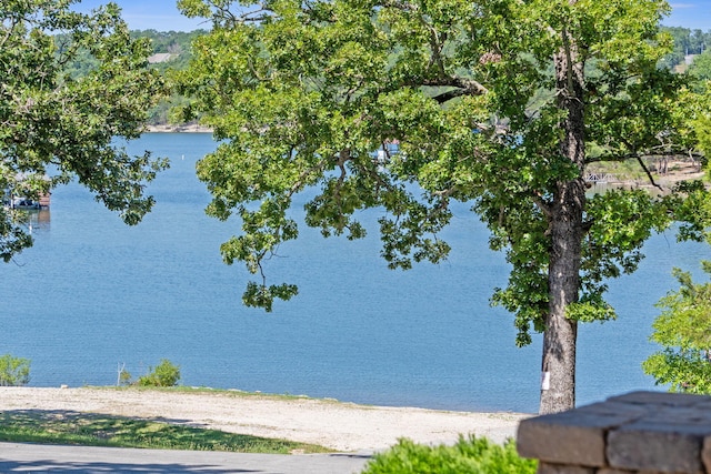 392 Eagle Dr Unit 10, Reeds Spring, MO 65737 - photo 26