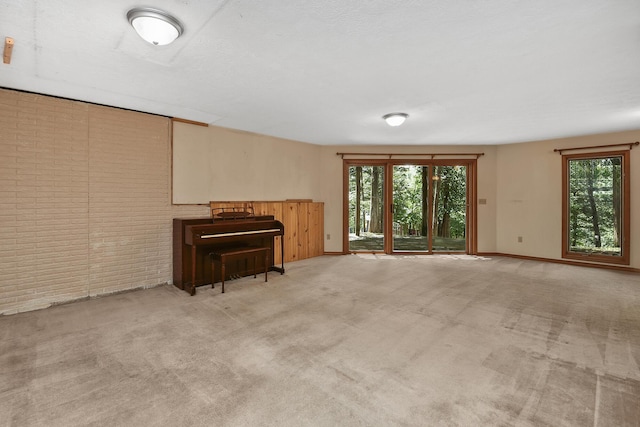 301 Woodson Rd, Branson, MO 65616 - photo 52