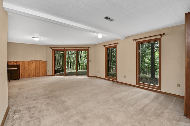 301 Woodson Rd, Branson, MO 65616 - photo 50